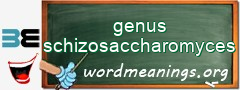 WordMeaning blackboard for genus schizosaccharomyces